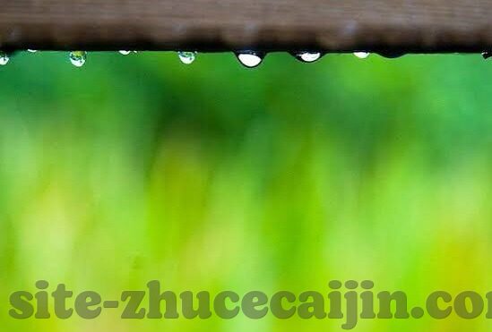 比分网足球比分网-足球迷的数据宝库——比分网足球比分网深度解析